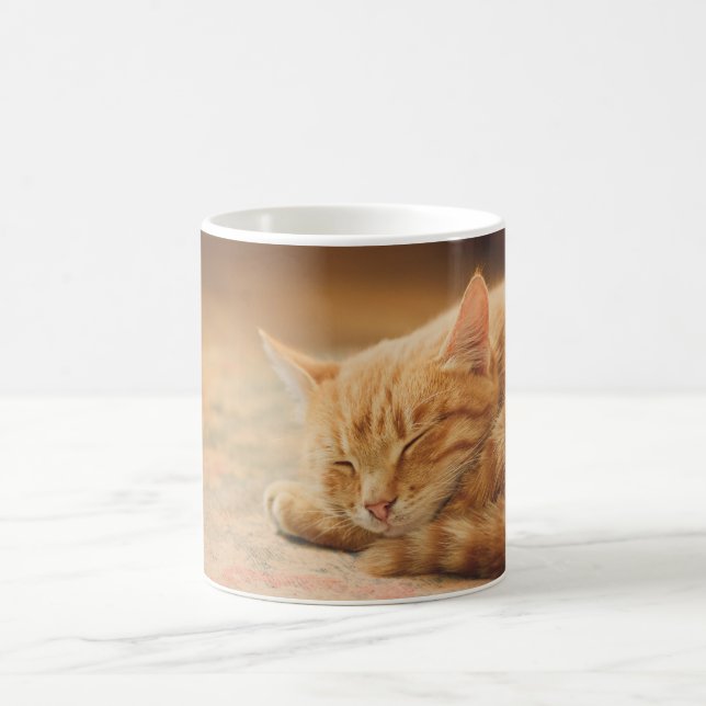 Schlafenorange Tabby-Katze Kaffeetasse (Mittel)