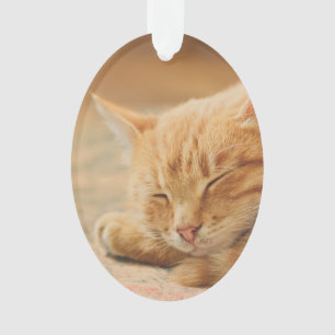 Schlafenorange Tabby-Katze Ornament