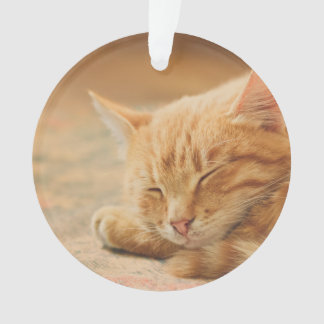 Schlafenorange Tabby-Katze Ornament