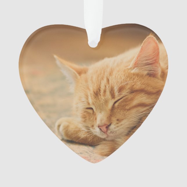 Schlafenorange Tabby-Katze Ornament (Vorderseite)