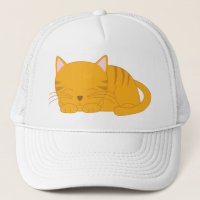 Schlafenorange Tabby-Katze