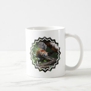 Schlafenpanda-Bärn-Kaffee-Tasse Tasse