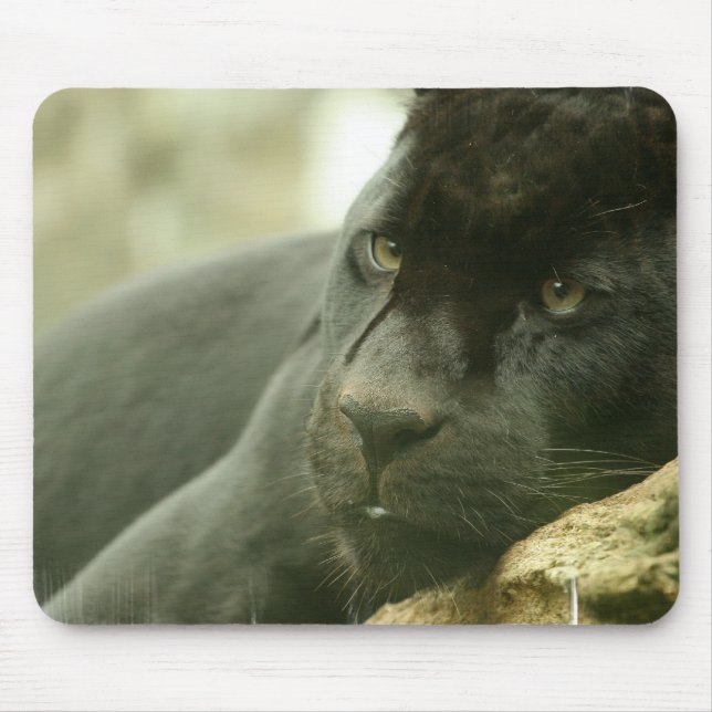 Schlafenpanther-Mausunterlage Mousepad (Vorne)
