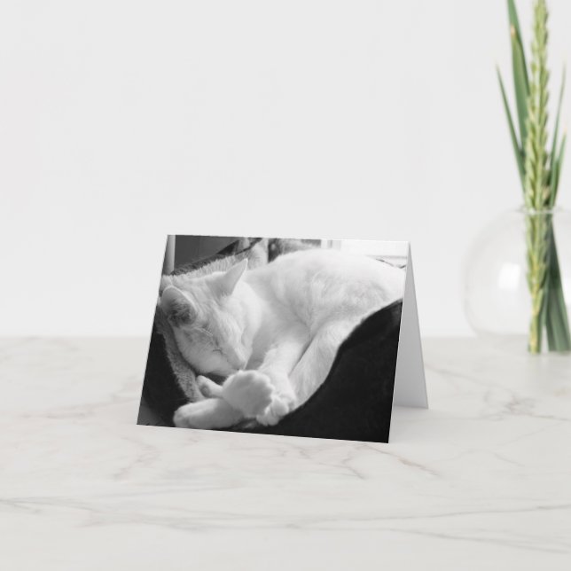 Schlafenquietschen Karte (Vorderseite)