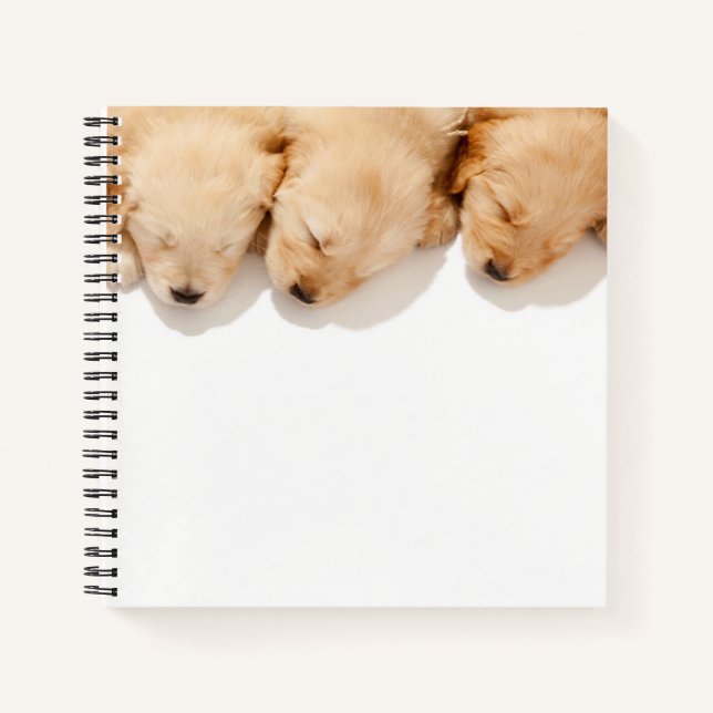 Schläfenreihe Goldene Retriever Welpen Notizbuch (Vorderseite)