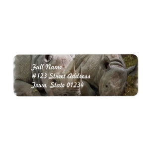 SchlafenRhinos, die Aufkleber verschicken