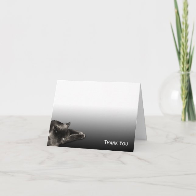 Schlafenschwarze Katze auf schwarzer Steigung Dankeskarte (Vorderseite)