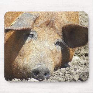"Schlafenschwein" Mousepad
