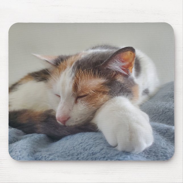 Schlafkalico Mousepad (Vorne)