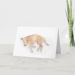 Schlafkarte Labrador Karte