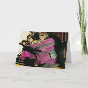 Schlafkätzchen in Purzelbäumen verpassen Sie nicht Karte