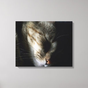 Schlafkatze 20"x16" Canvas Print Leinwanddruck