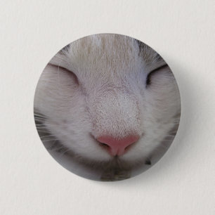 Schlafkatze Button