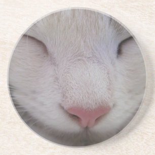 Schlafkatze Getränkeuntersetzer