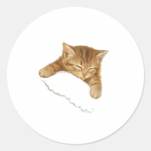 Schlafkatze Grafik, Vintage Katzenliebhaber T-Shir Runder Aufkleber