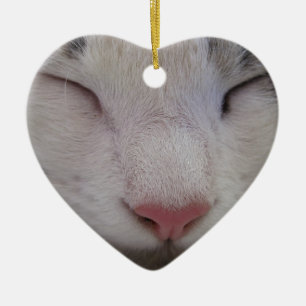 Schlafkatze Keramik Ornament