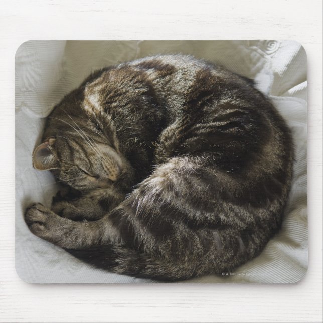 Schlafkatze Mousepad (Vorne)