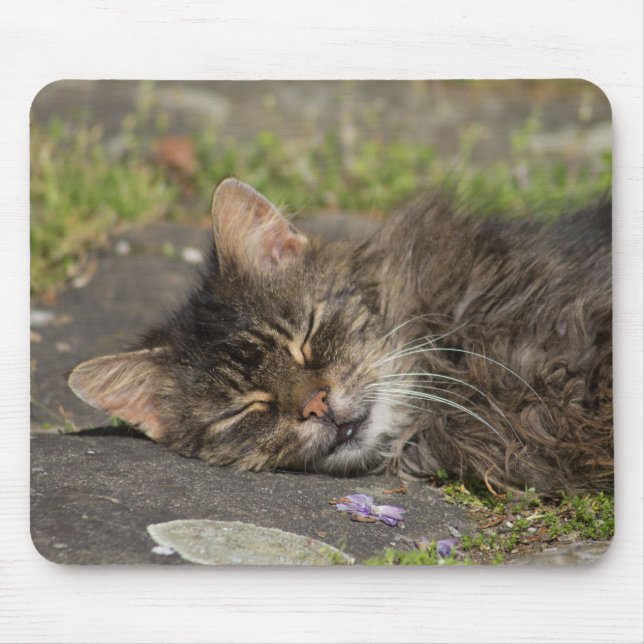 Schlafkatze Mousepad (Vorne)