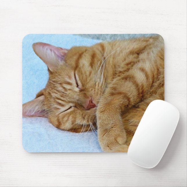 Schlafkatze Mousepad (Mit Mouse)