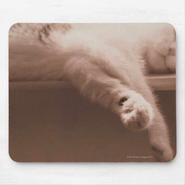 Schlafkatze Mousepad (Vorne)