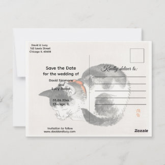 Schlafkatze Postkarte