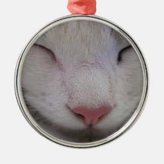 Schlafkatze Silbernes Ornament