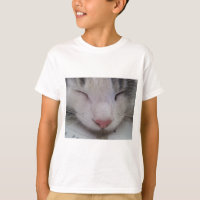 Schlafkatze