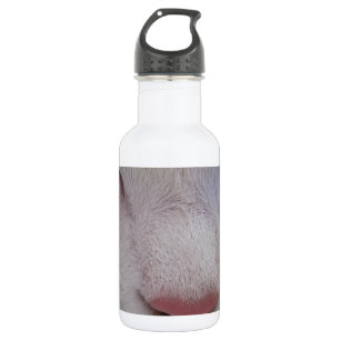 Schlafkatze Trinkflasche