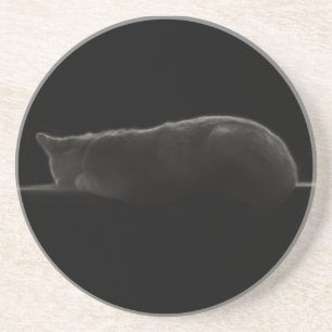 Schlafkatzen-Fotografie Getränkeuntersetzer