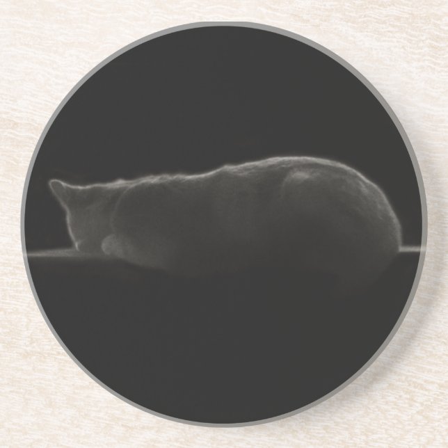 Schlafkatzen-Fotografie Getränkeuntersetzer (Vorne)