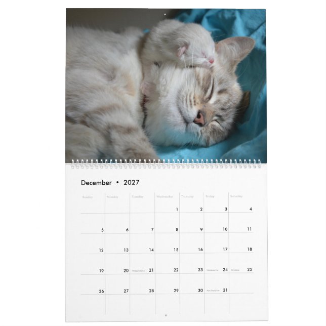 Schlafkatzen & Kittens Niedlich Kitty 2020 Kalender (Dez 2027)