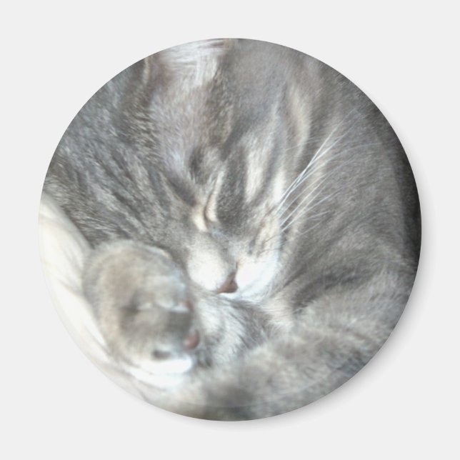 Schlafkatzen-Magnet Magnet (Vorne)