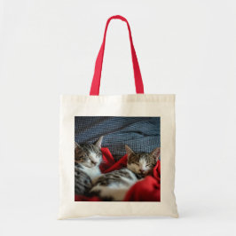 Schlafkatzen Totbeutel Tragetasche