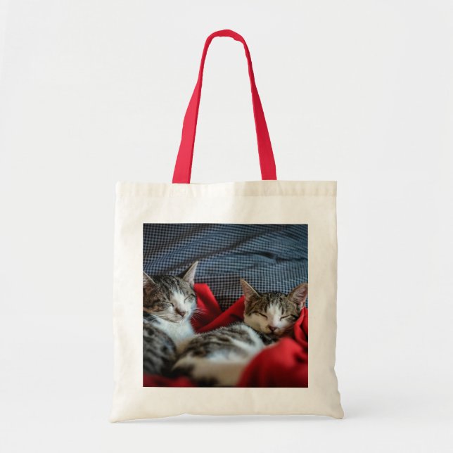 Schlafkatzen Totbeutel Tragetasche (Vorne)