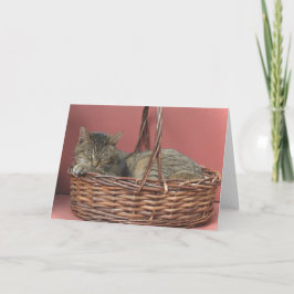Schlafkitchkarte Karte