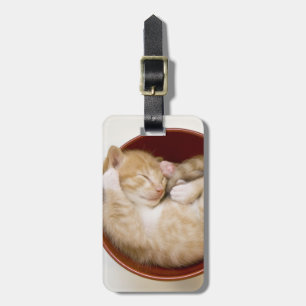Schlafkitte Gepäckanhänger