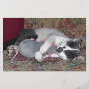 Schlafkitten Briefpapier
