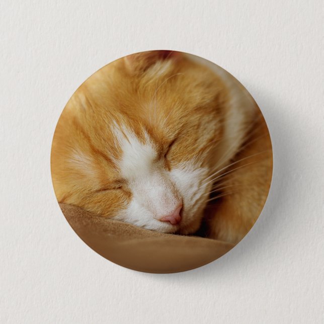 Schlafkitten Button (Vorderseite)