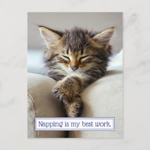 Schlafkitten Einladungspostkarte