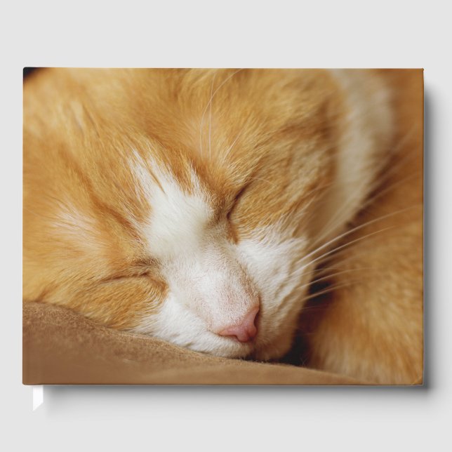 Schlafkitten Gästebuch (Vorderseite)