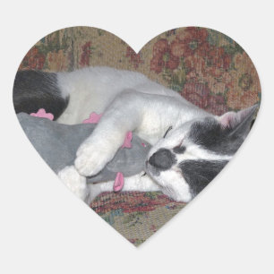 Schlafkitten Herz-Aufkleber