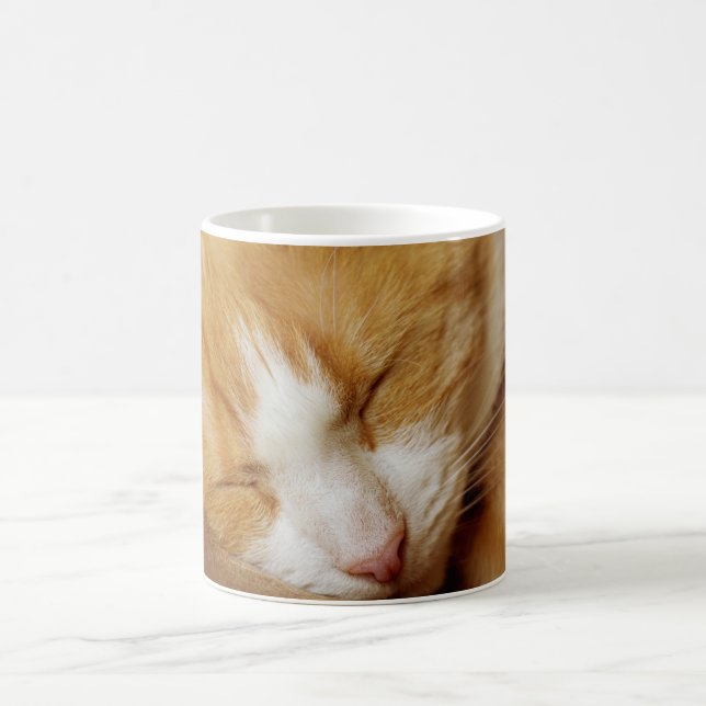 Schlafkitten Kaffeetasse (Mittel)