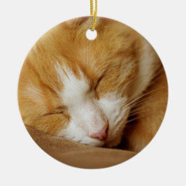 Schlafkitten Keramik Ornament