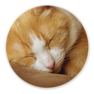 Schlafkitten Keramikknauf