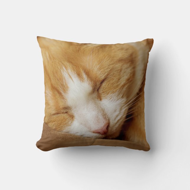 Schlafkitten Kissen (Vorderseite)