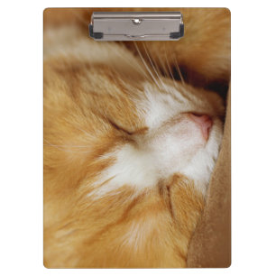 Schlafkitten Klemmbrett