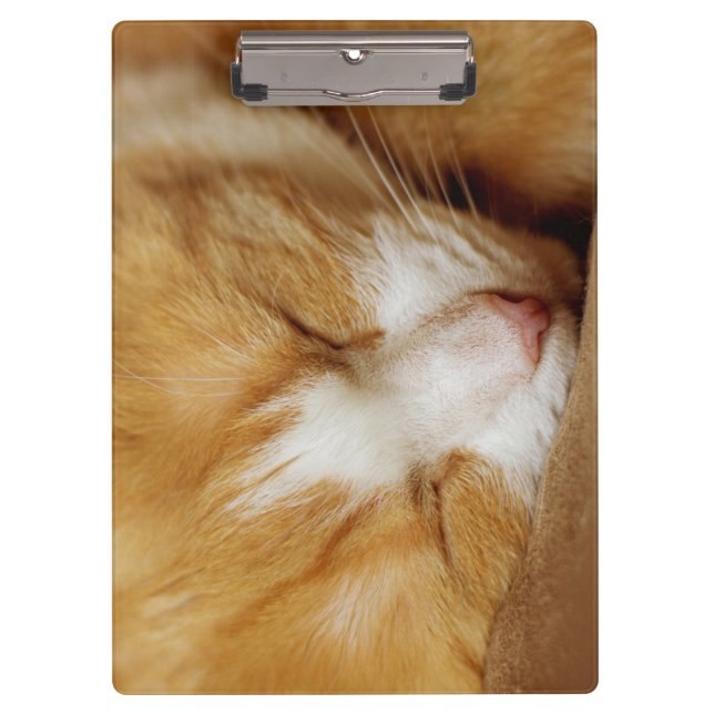 Schlafkitten Klemmbrett (Vorderseite)