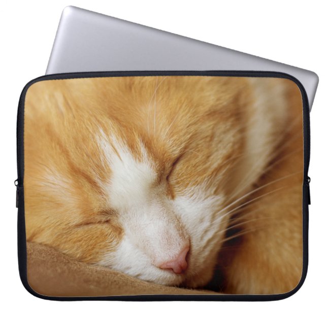 Schlafkitten Laptopschutzhülle (Vorderseite)