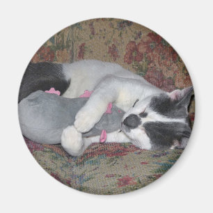 Schlafkitten Magnet