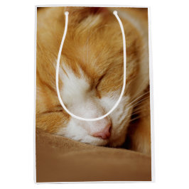 Schlafkitten Mittlere Geschenktüte